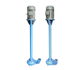 DYWS液下(xia)污水泵