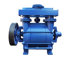 2BE水環真(zhen)空泵